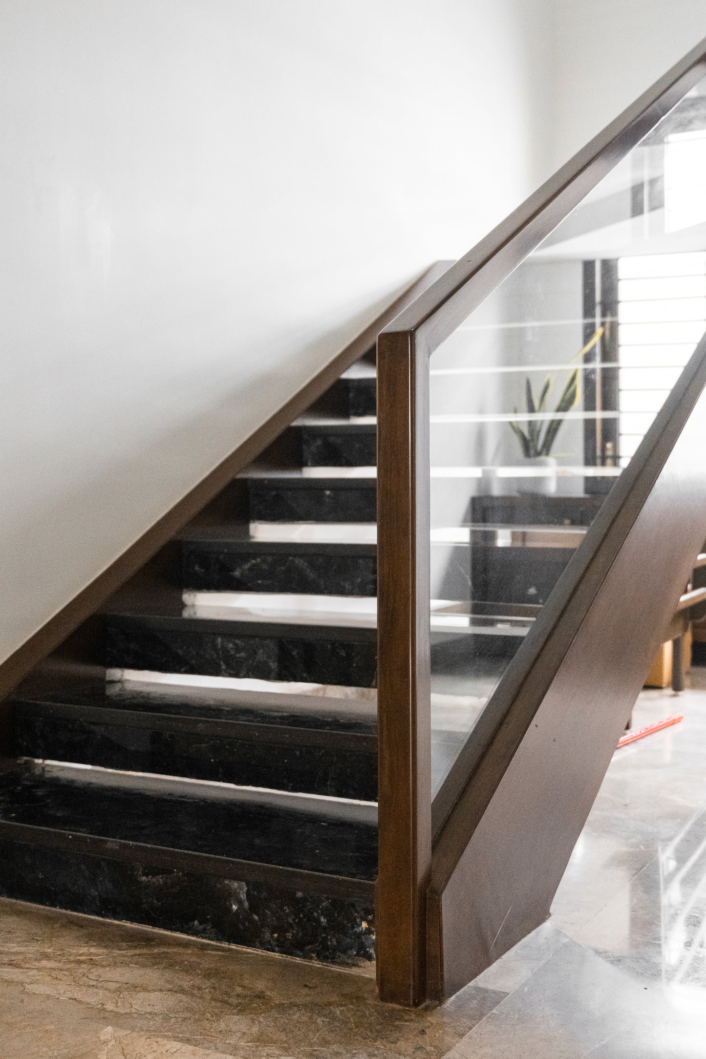 Casa Lumière - Elevation