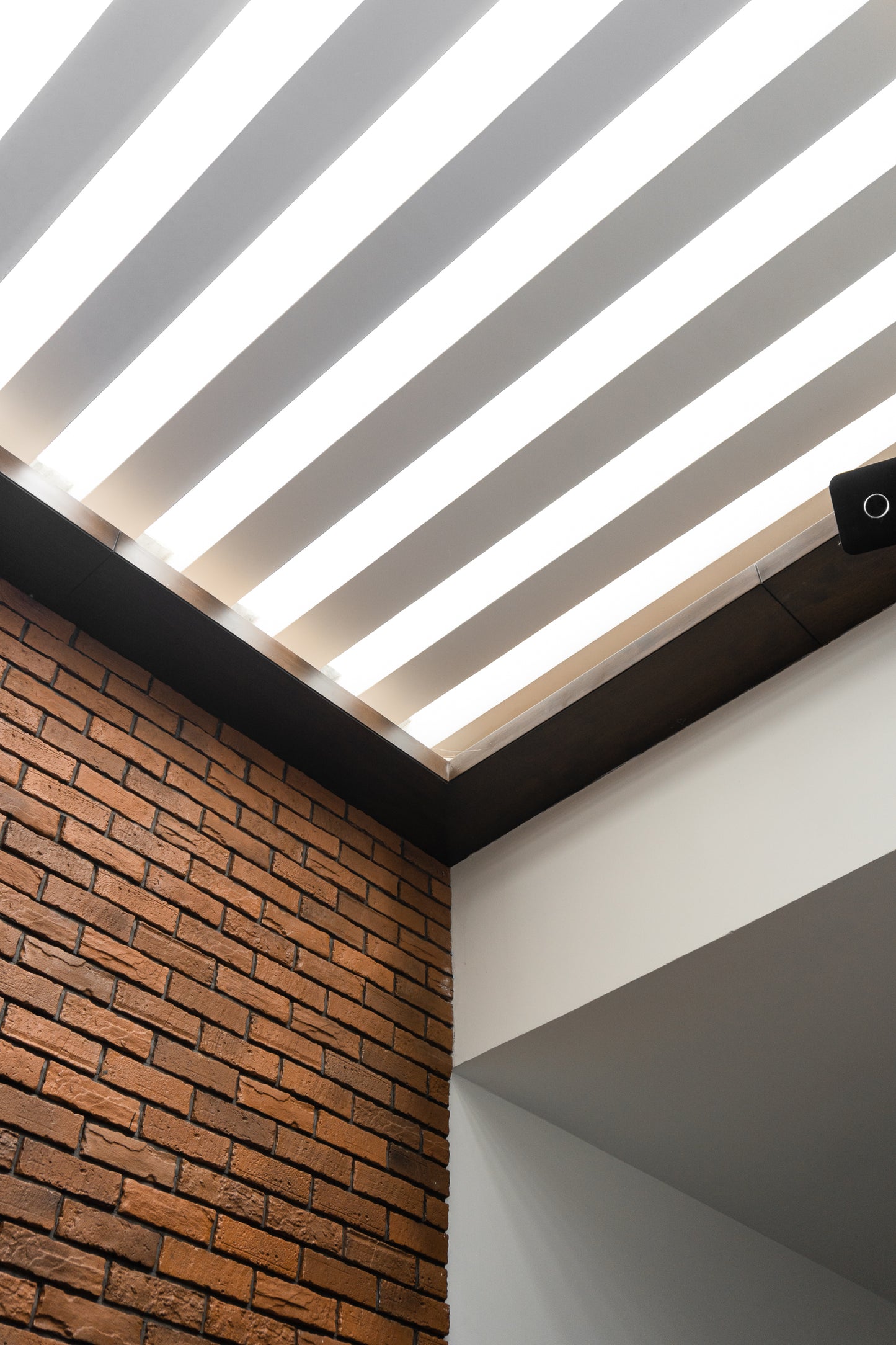 Casa Lumière - Elevation