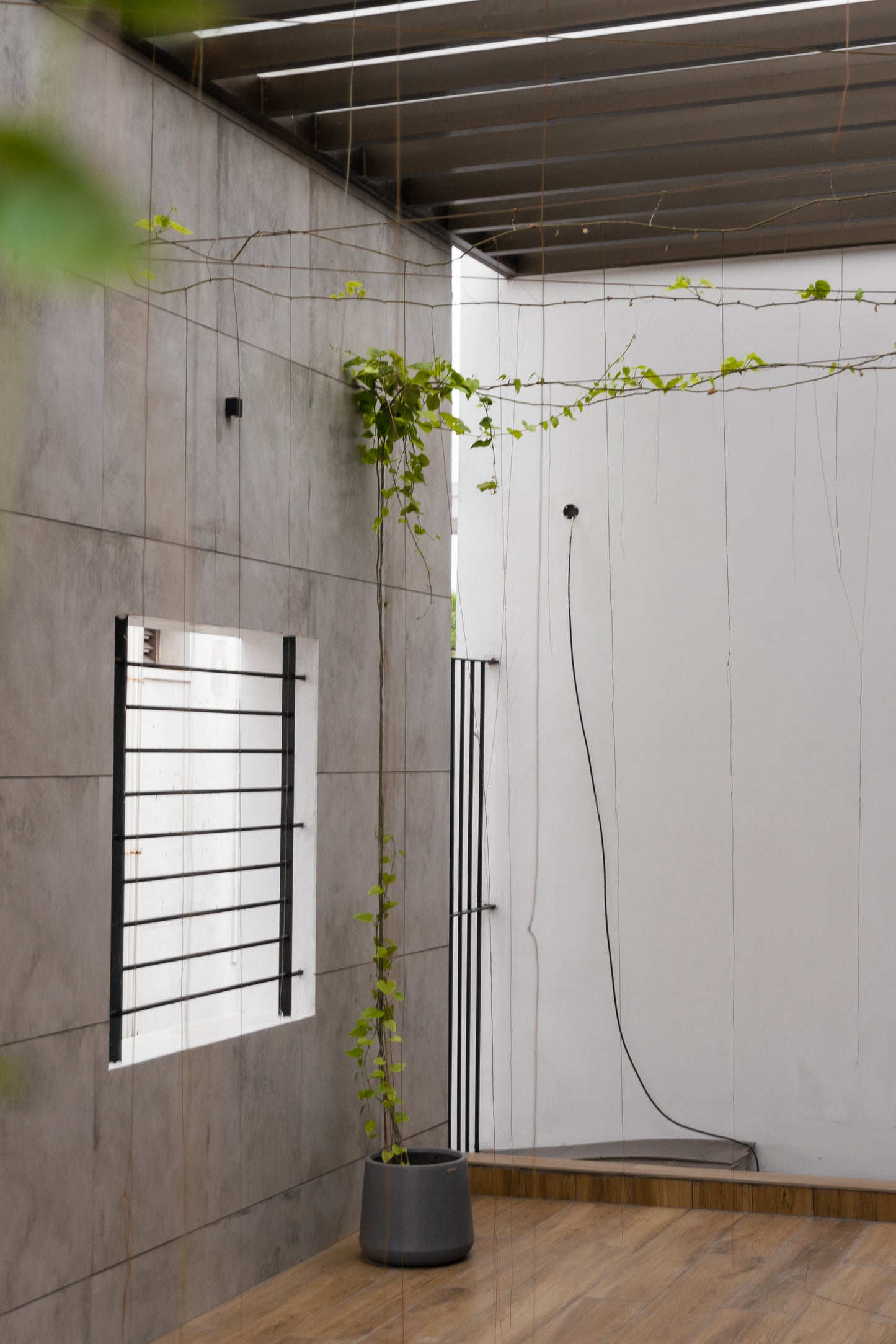 Casa Lumière - Balcony & Outdoor Space