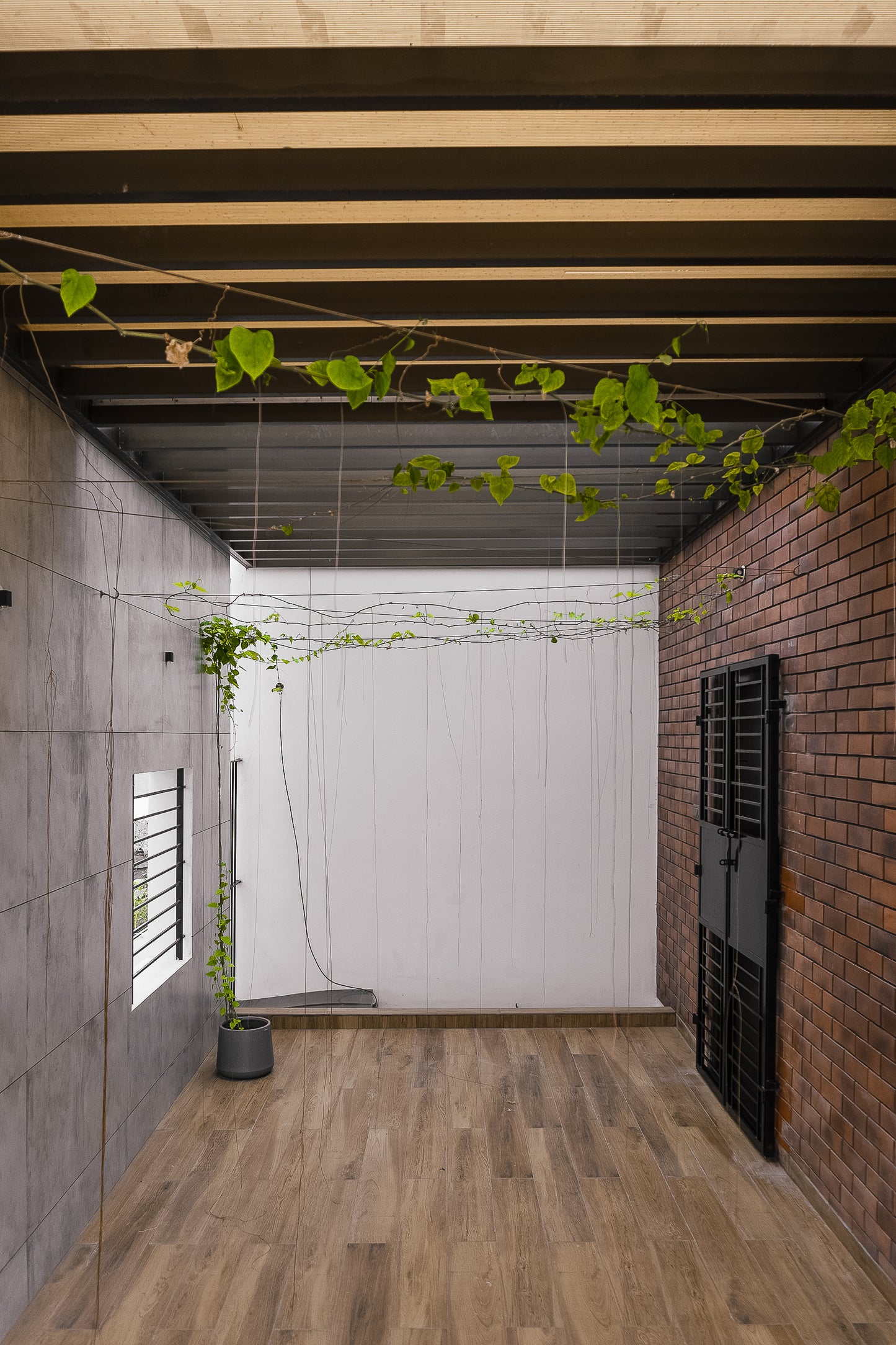 Casa Lumière - Balcony & Outdoor Space